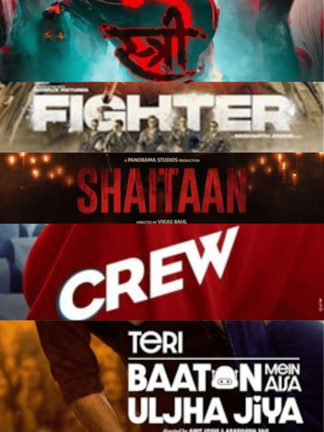 Top 5 Bollywood Movies Of 2024, (1)